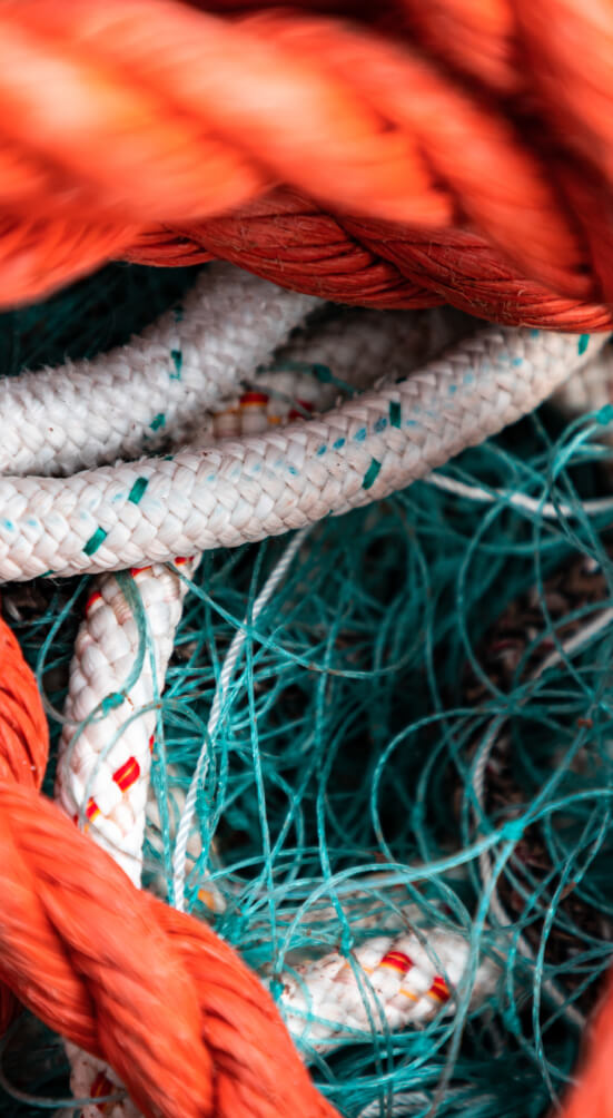 CBN - Construction navale